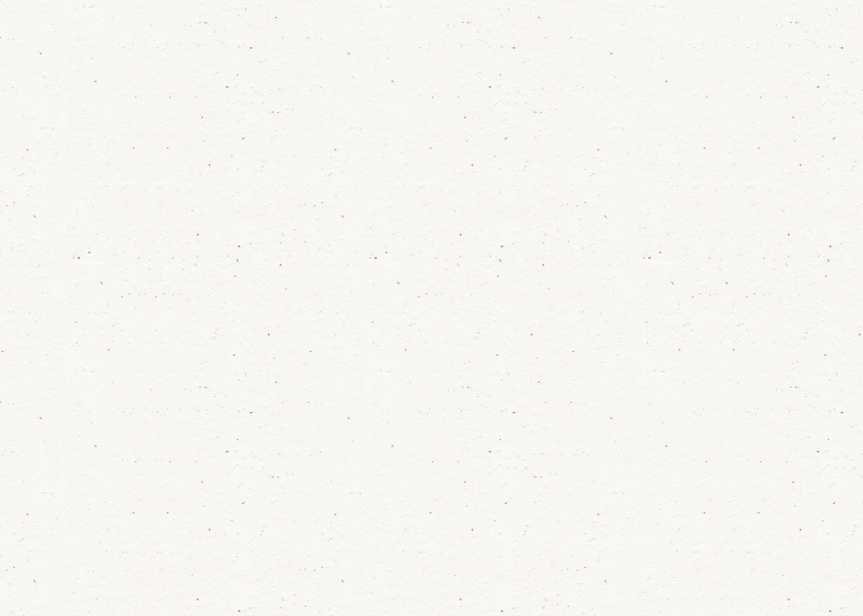 Seed Paper Texture in White